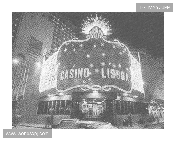 澳门新京登录娱乐平台严格的安全措施，保障玩家资金与信息安全