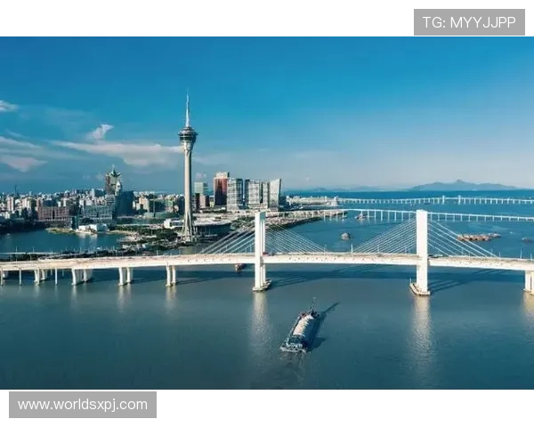 新澳门彩网站登录入口官方最新版本，安全稳定的登录指南与操作流程详解